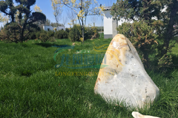 沈阳龙凤公墓：多样化的墓地类型